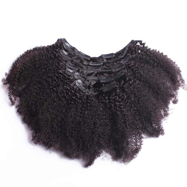 Afro Kinky Clip ins
